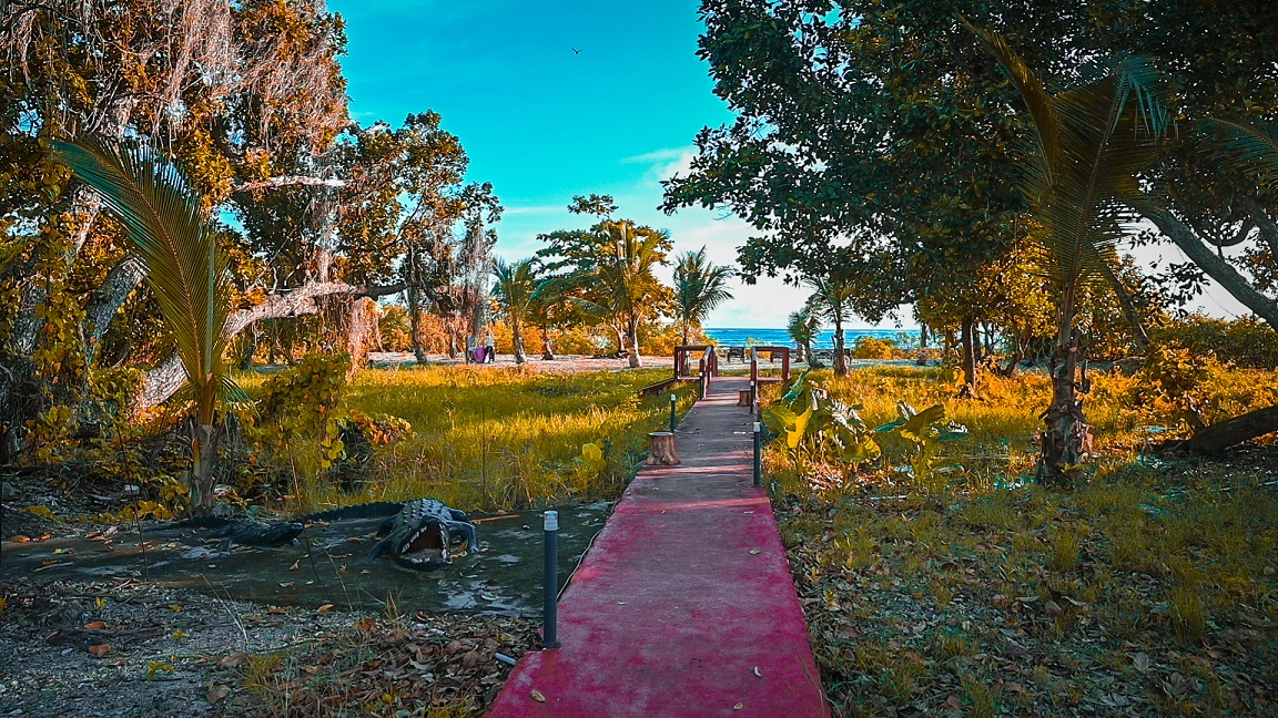 Galería