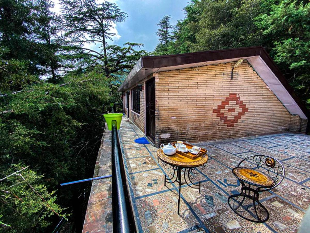 Galería