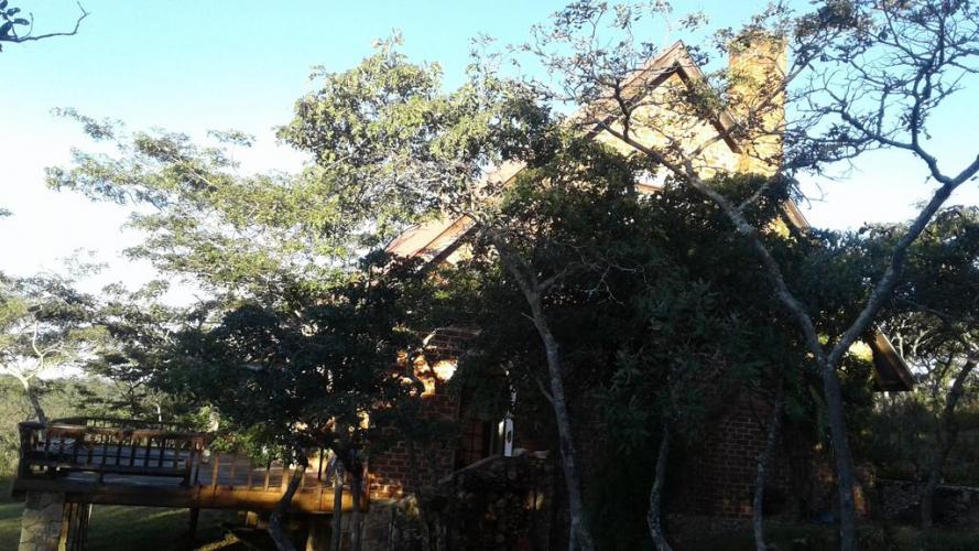 Galería