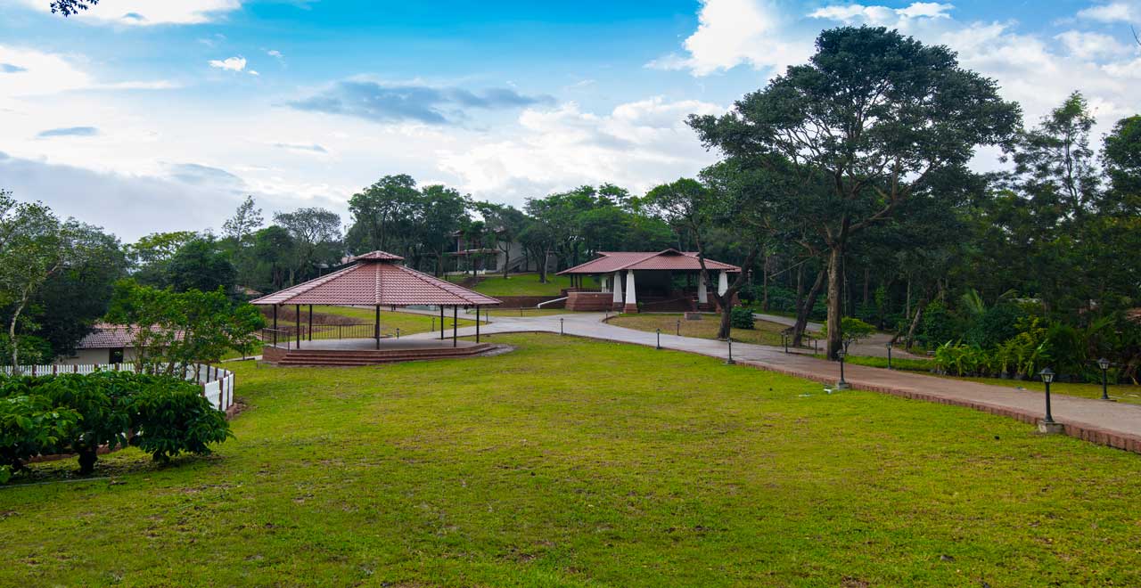 Galeria