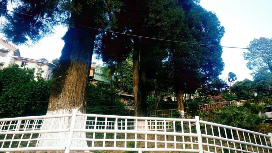 Galería