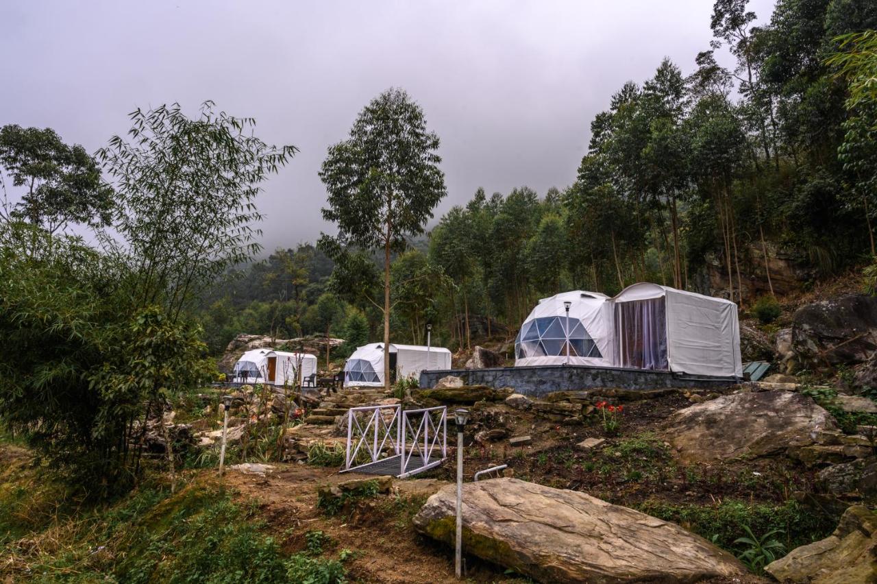 Galería