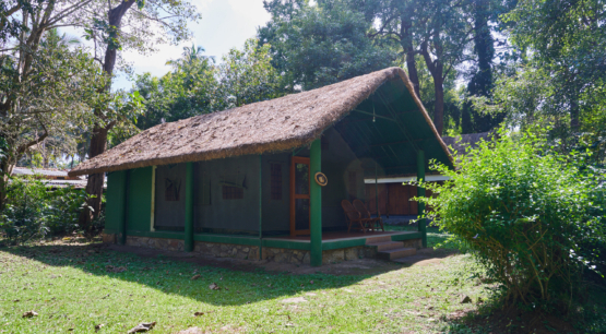 Galería