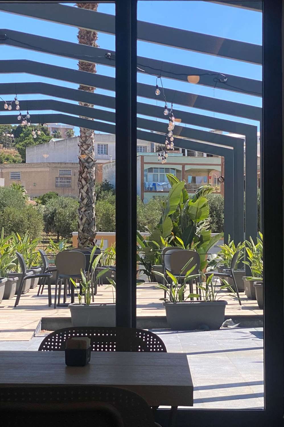 جاليرى