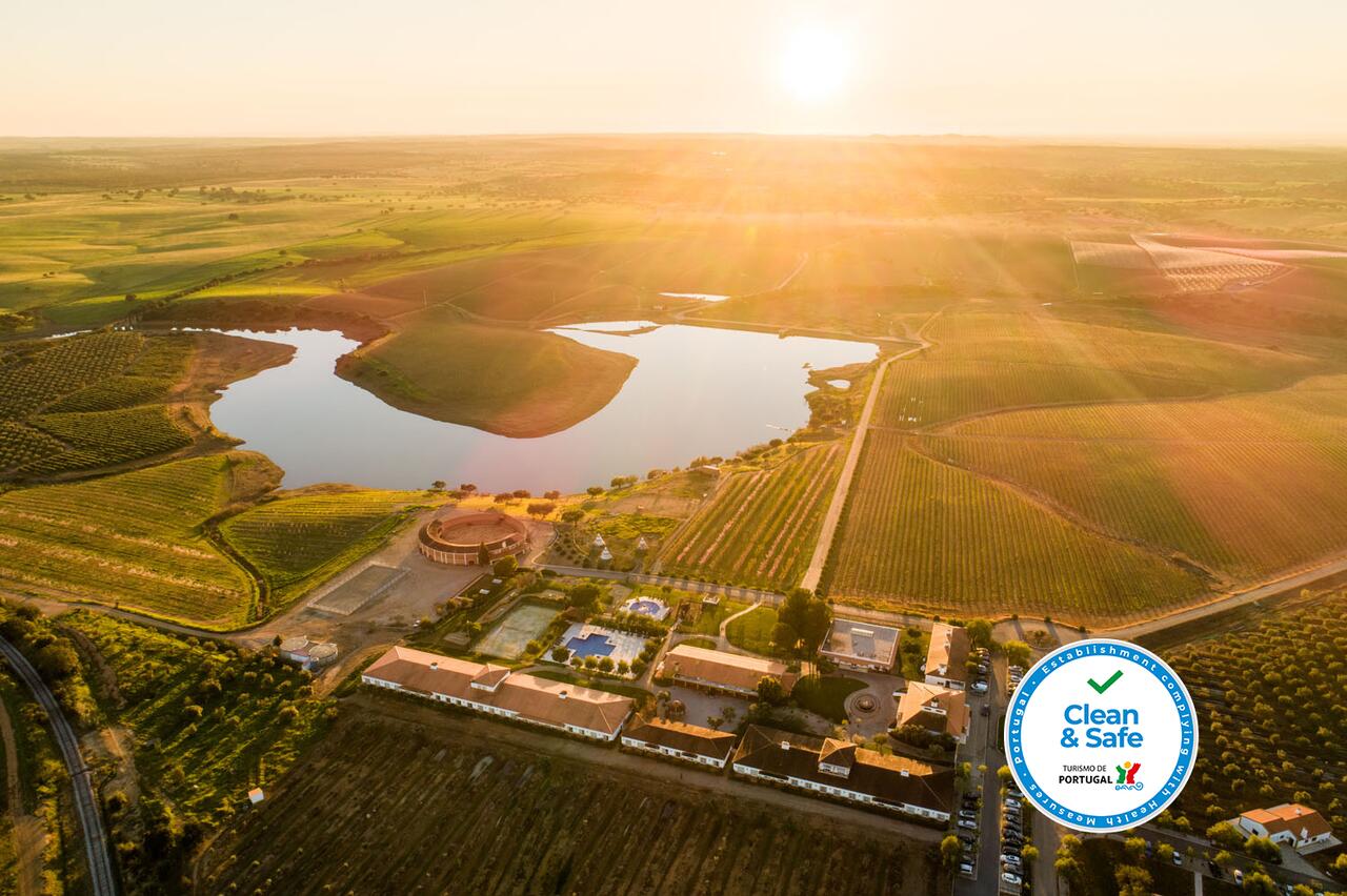 Vila Gale Alentejo Vineyards