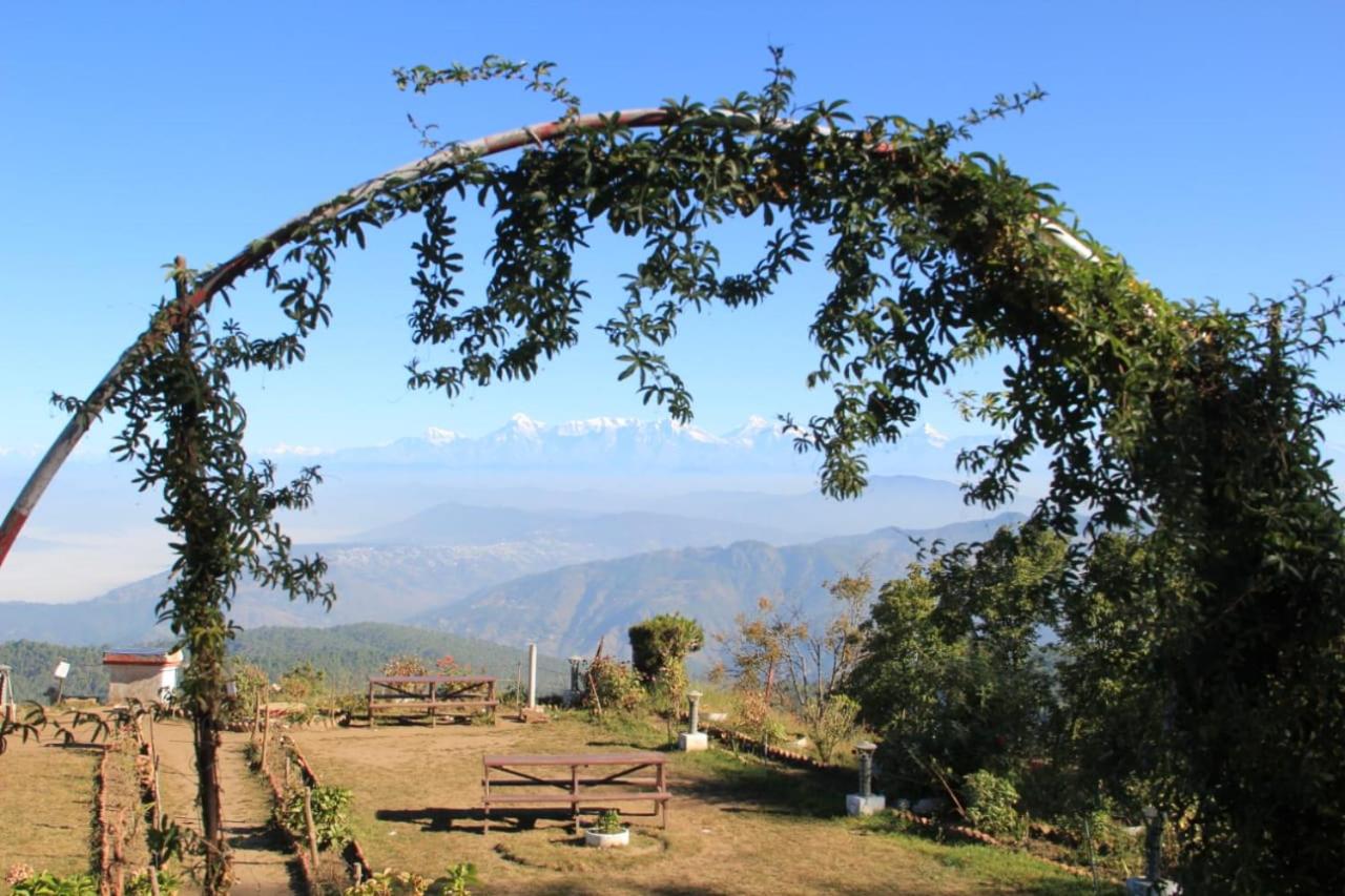 Galería