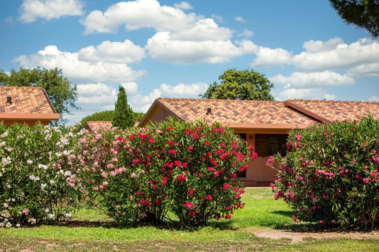 Galería