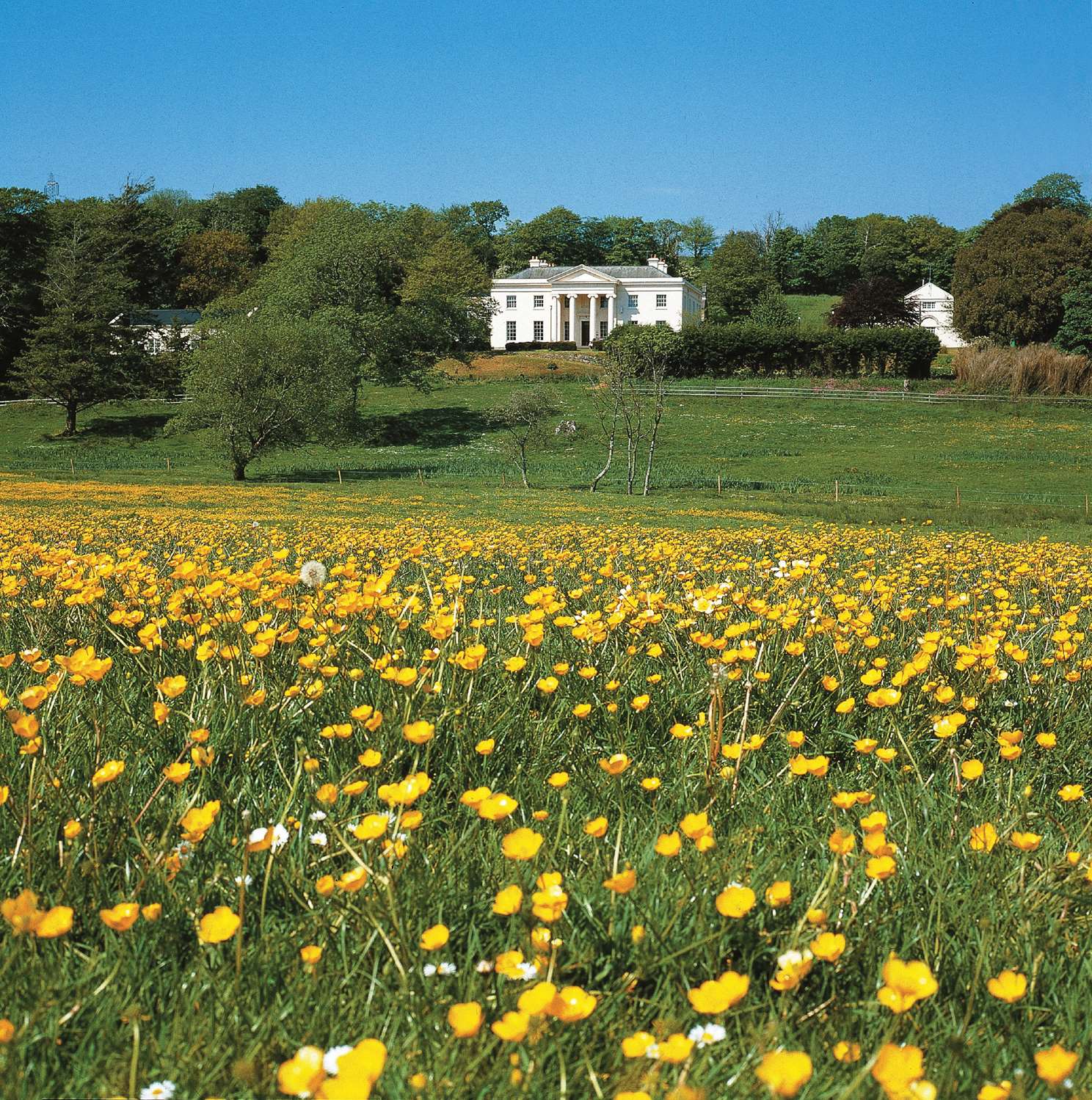 Best Western Lamphey Court Hotel