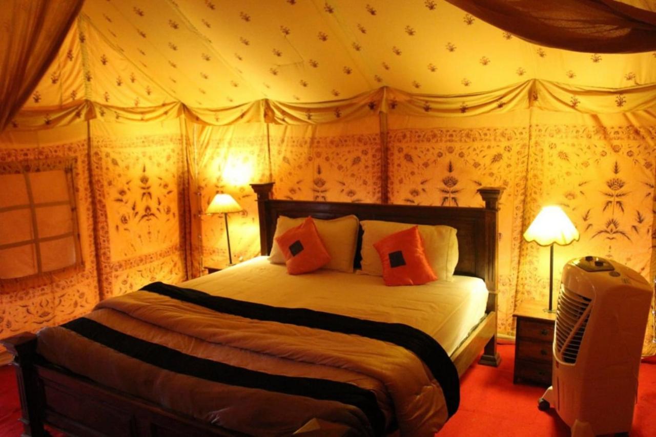 Golden Marigold Desert Camp