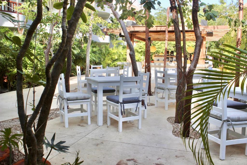 Galería
