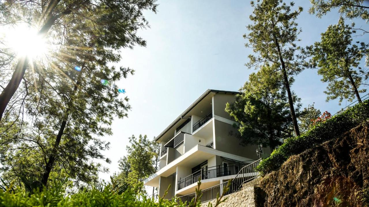 Galería