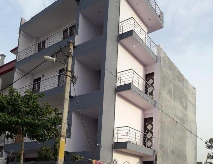 OYO 80690C Royal Gold