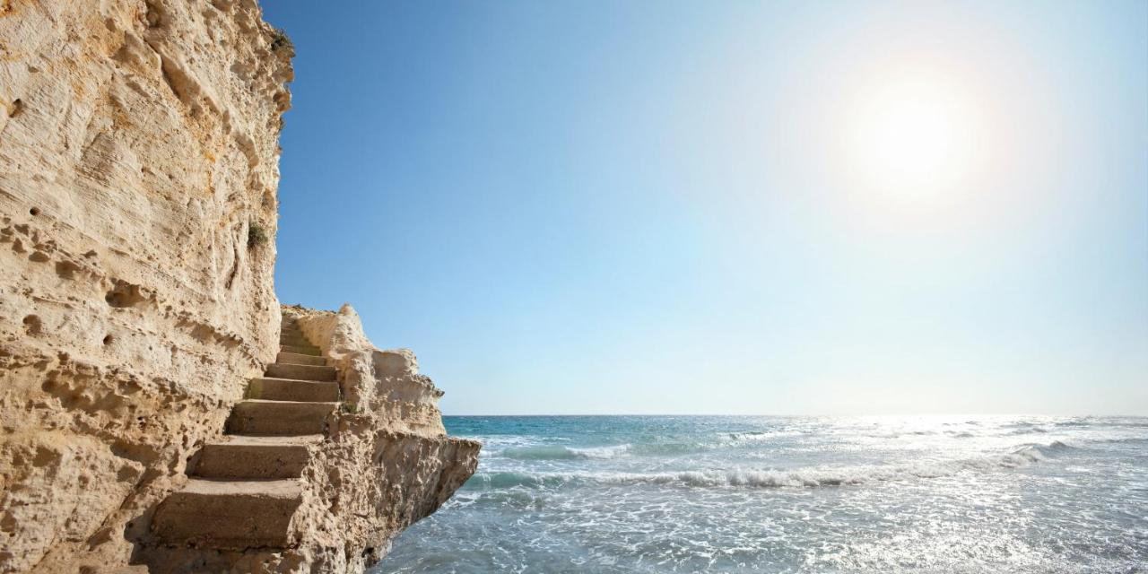 VOI Daniela Essentia