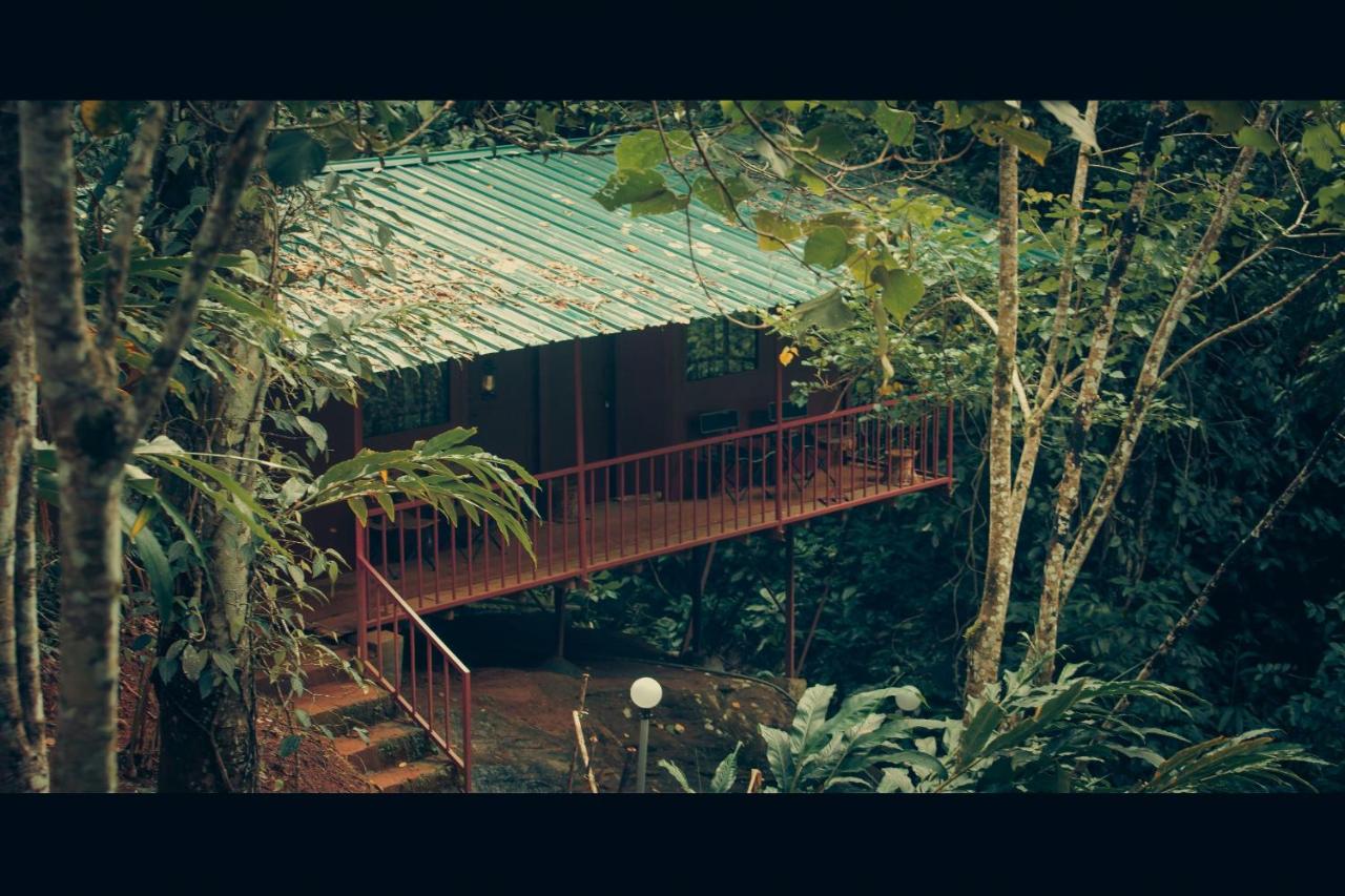 Galería