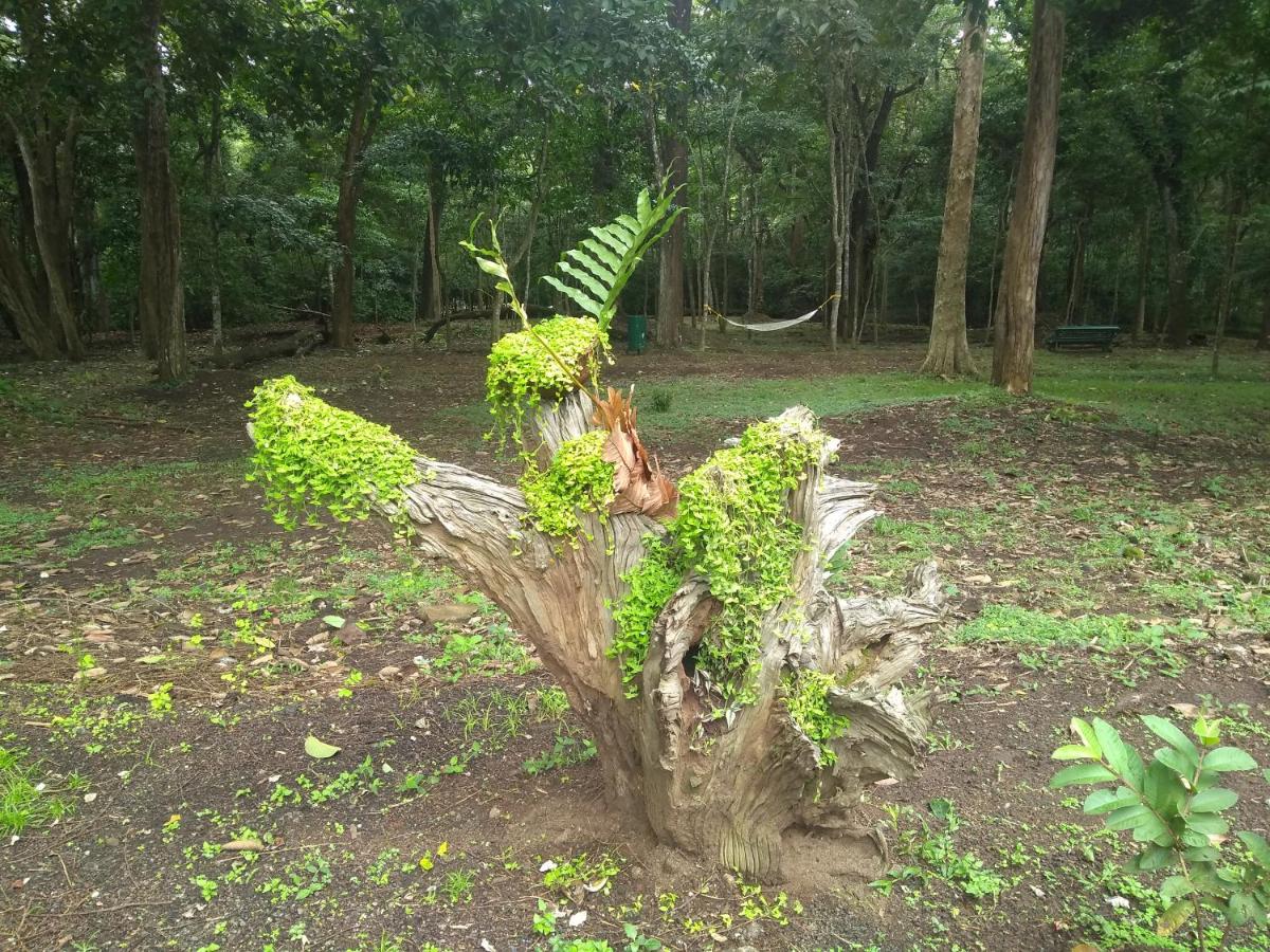 Galería