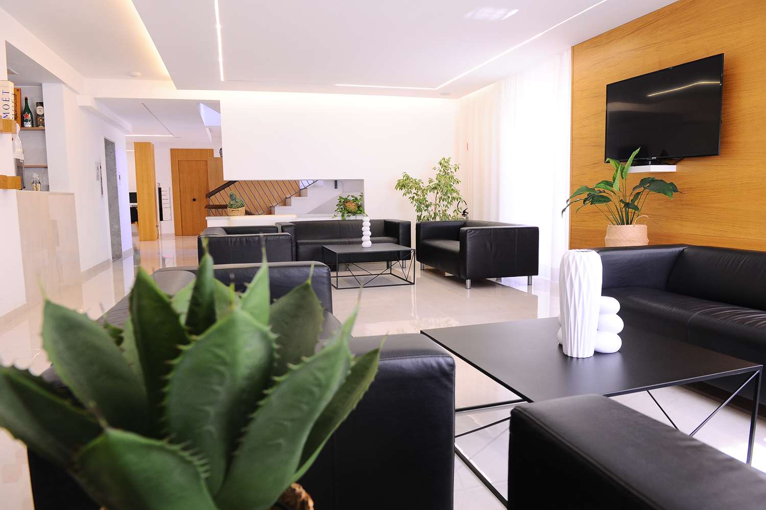 Galería