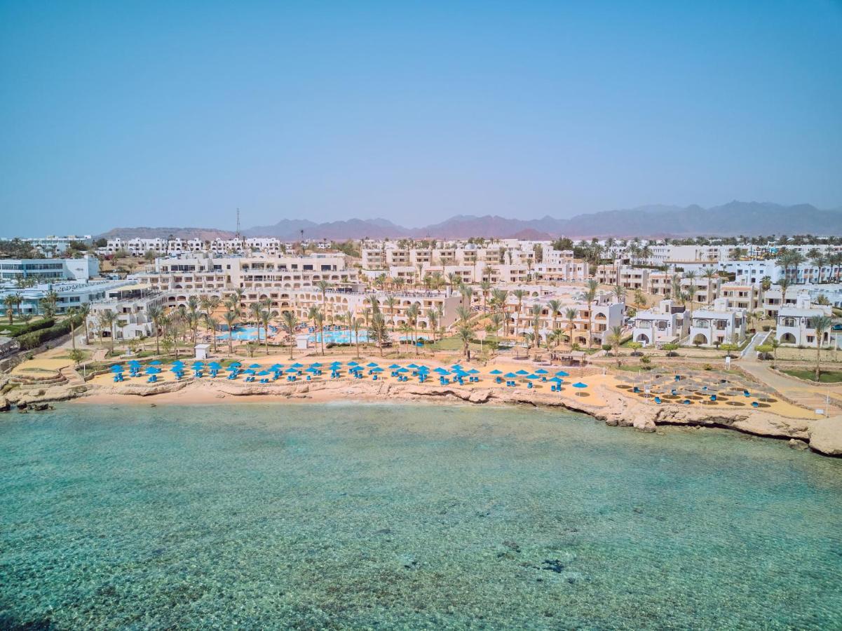جاليرى