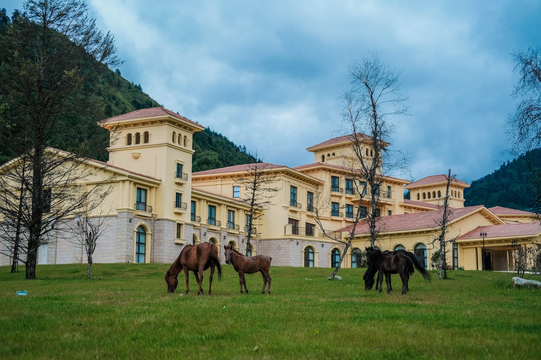 Galería
