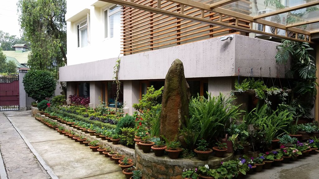 Galería