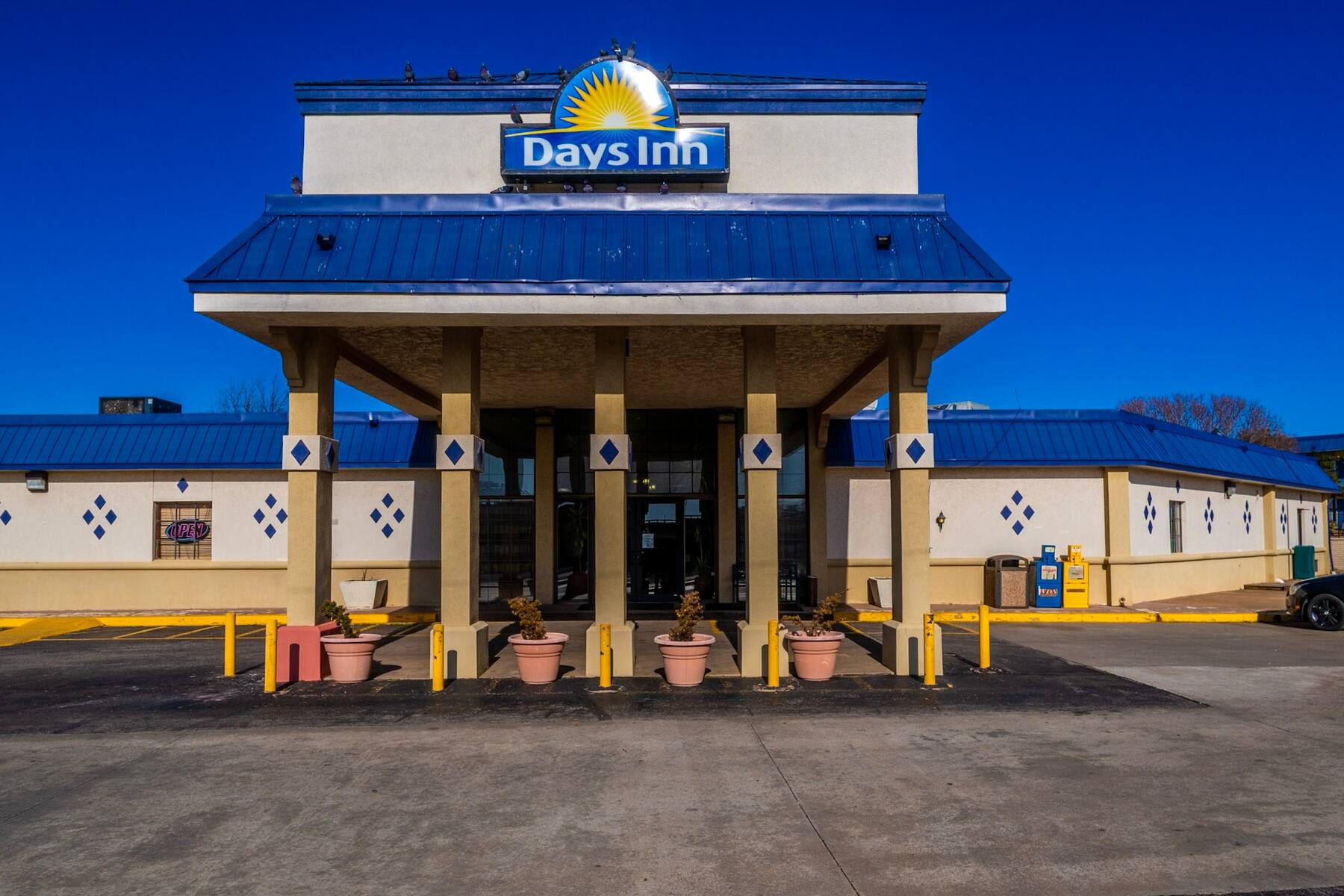 جاليرى