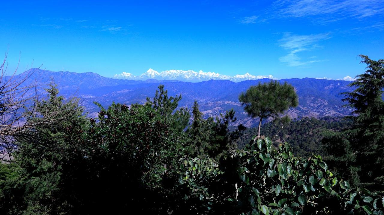 Galería