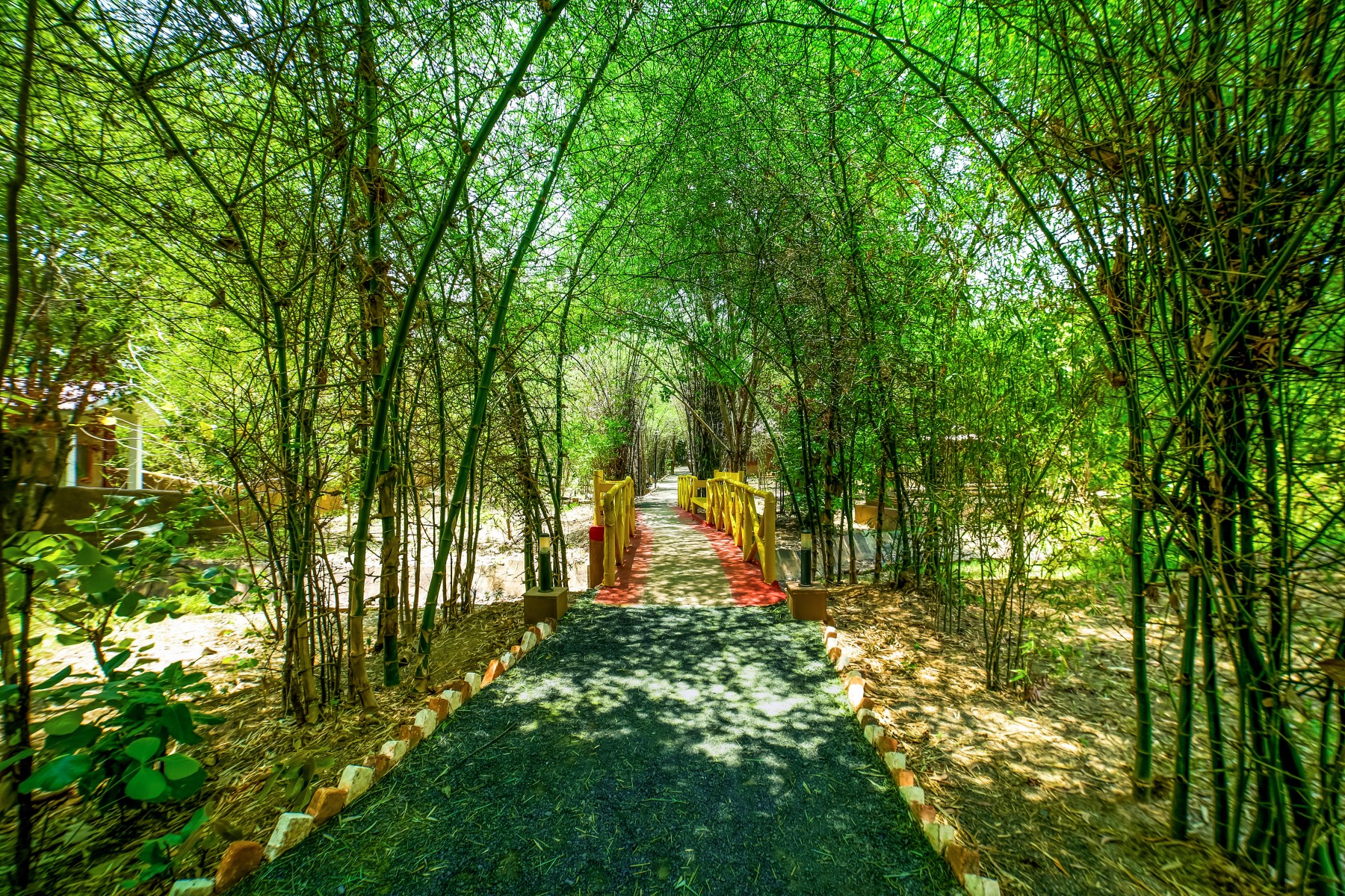 Galería