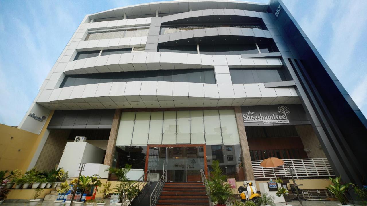 The Sheesham Tree, Bhopal