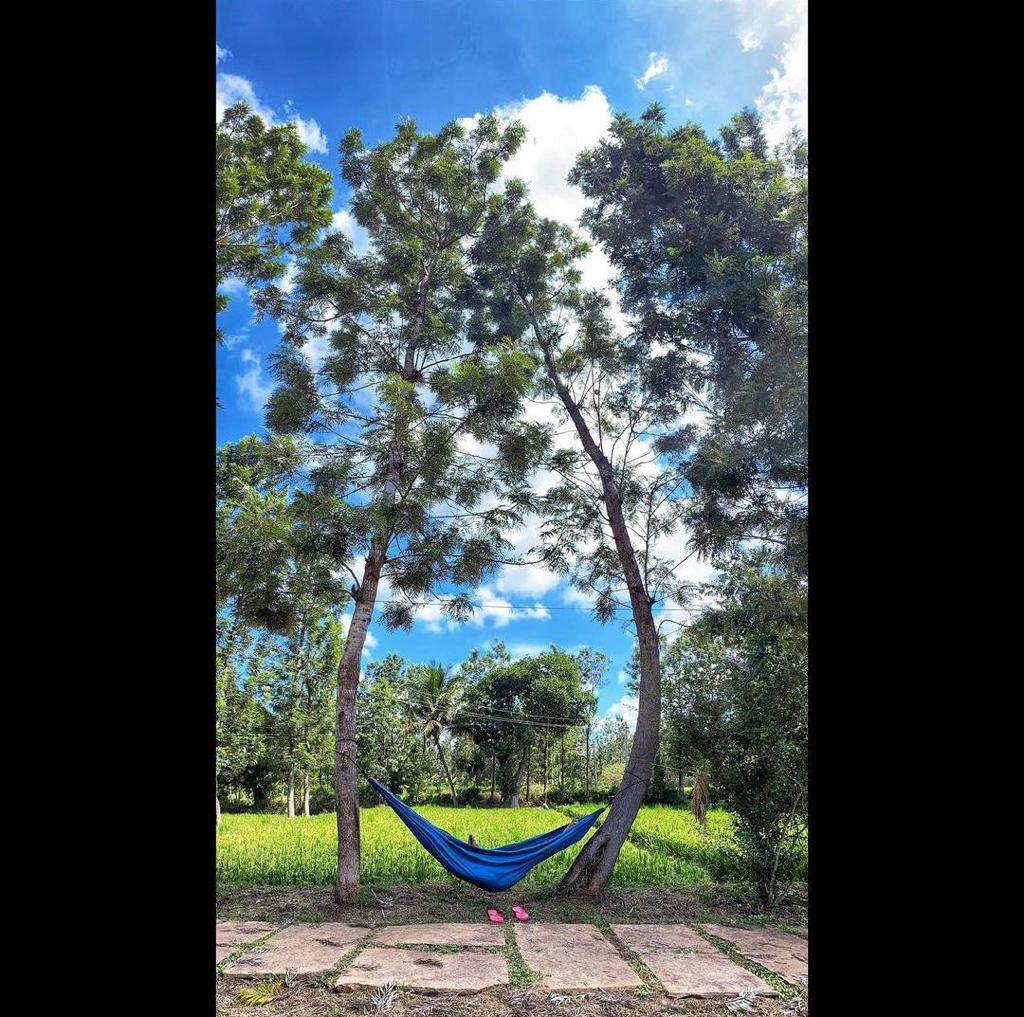 Galería