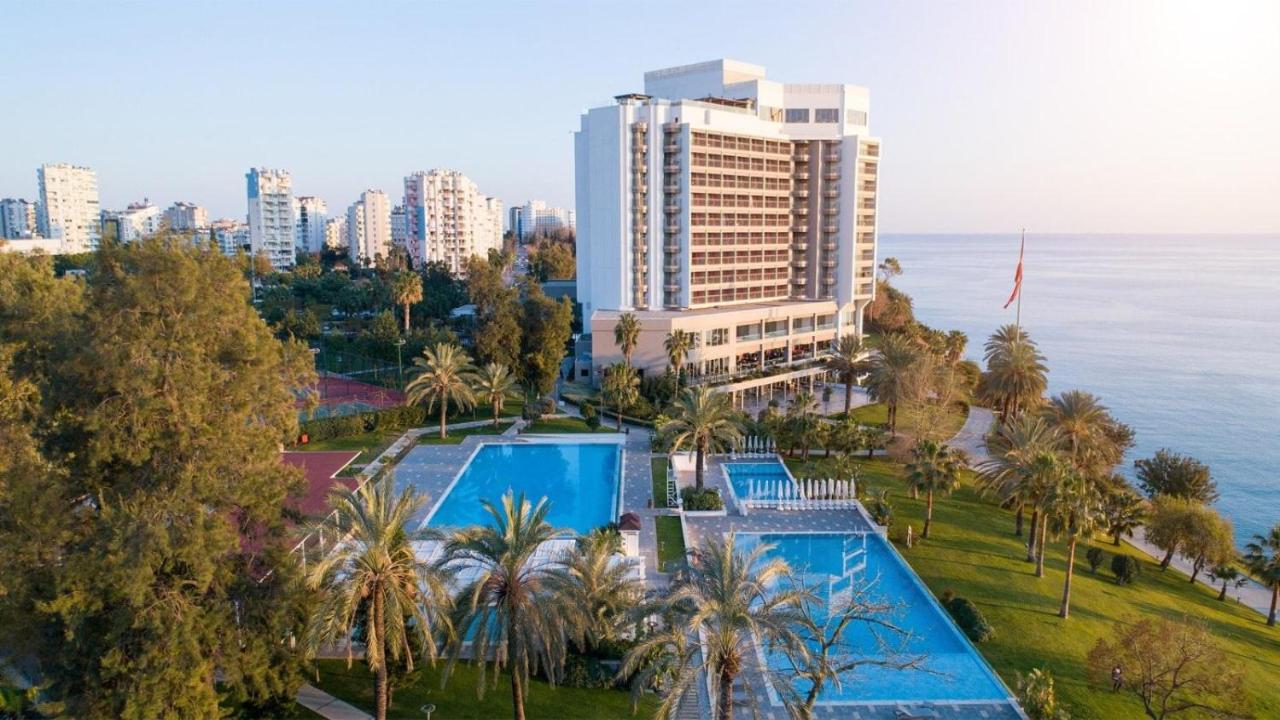 جاليرى