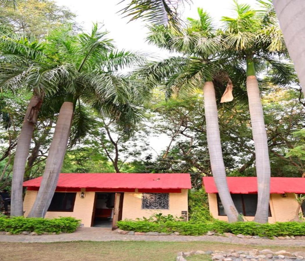 Galería