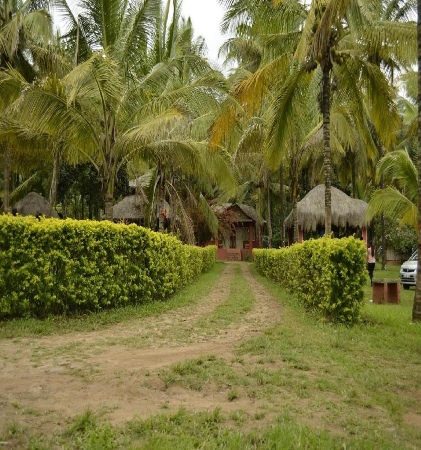 Galería