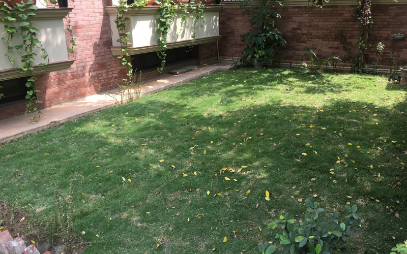 Galería