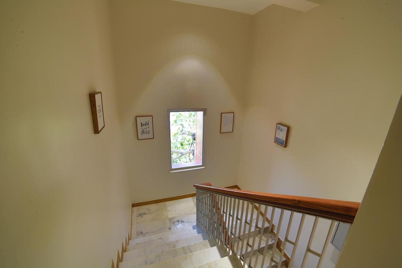 Galería