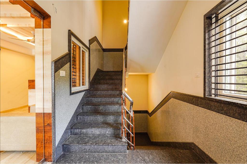 Galería