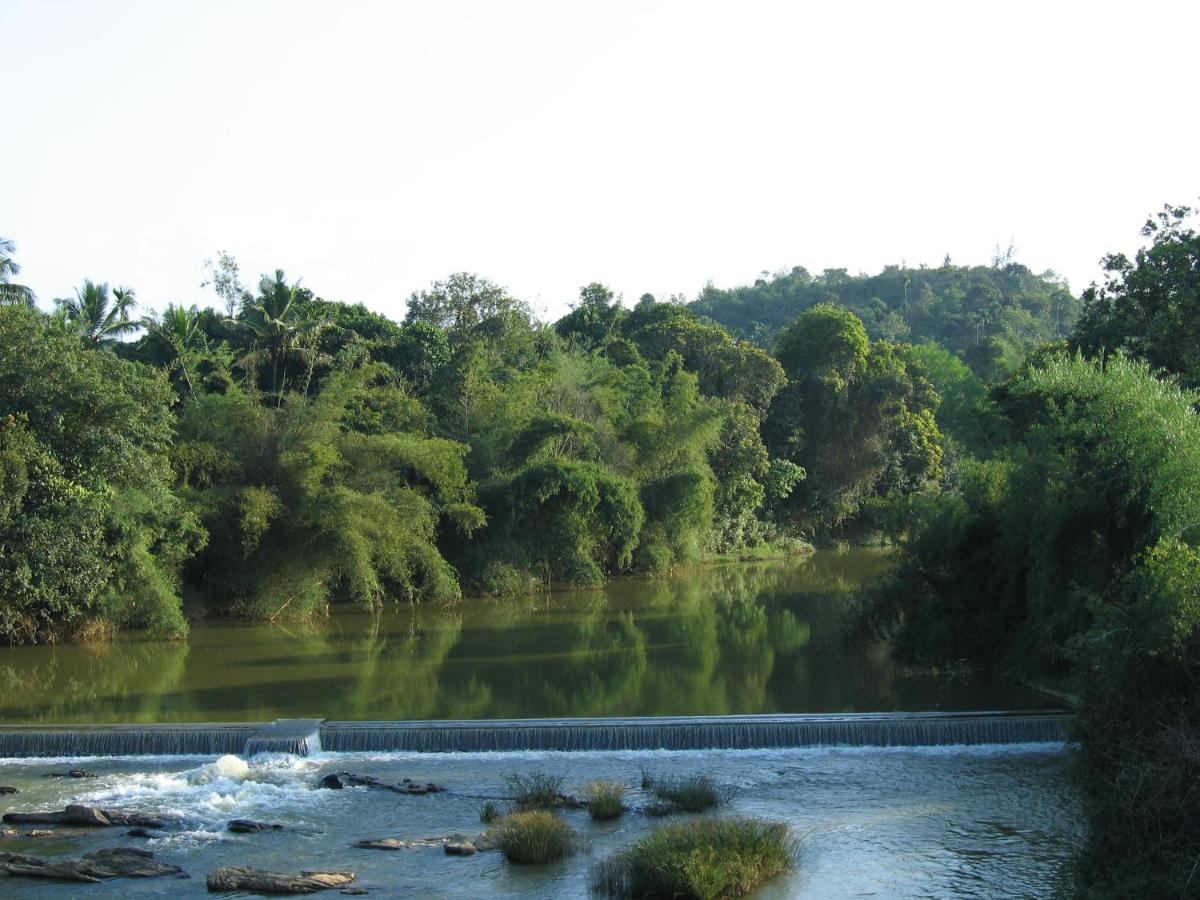 Galería