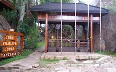 Galería