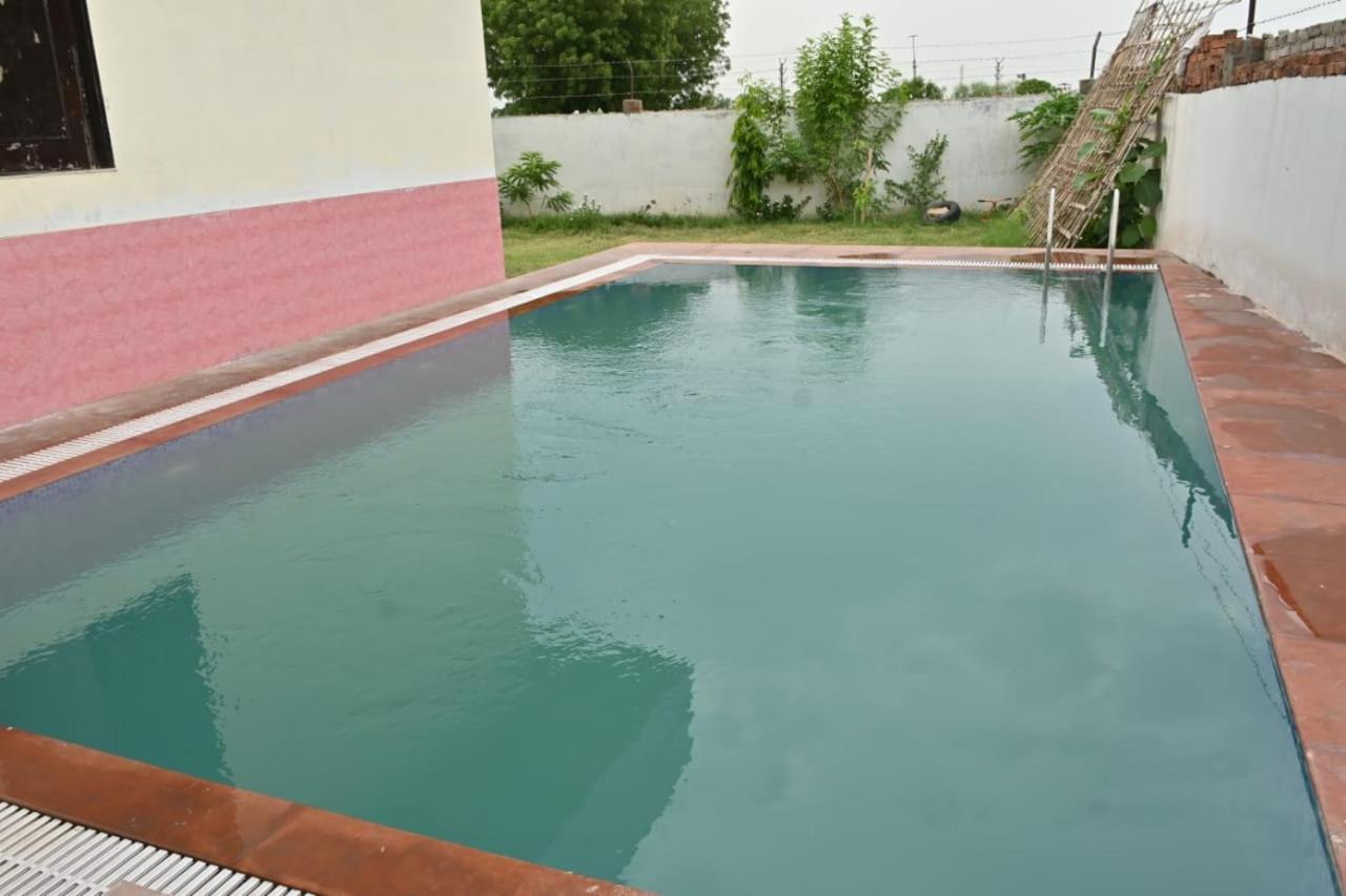 The Forest View Resort