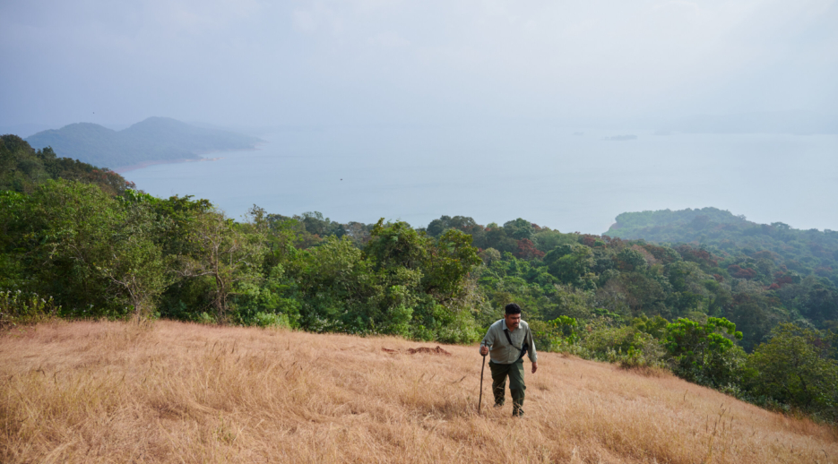 Old Magazine House by Jungle Lodges