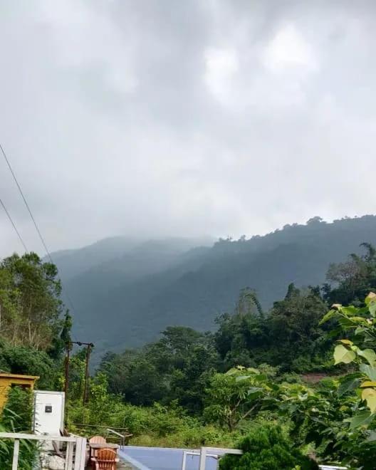 Galería