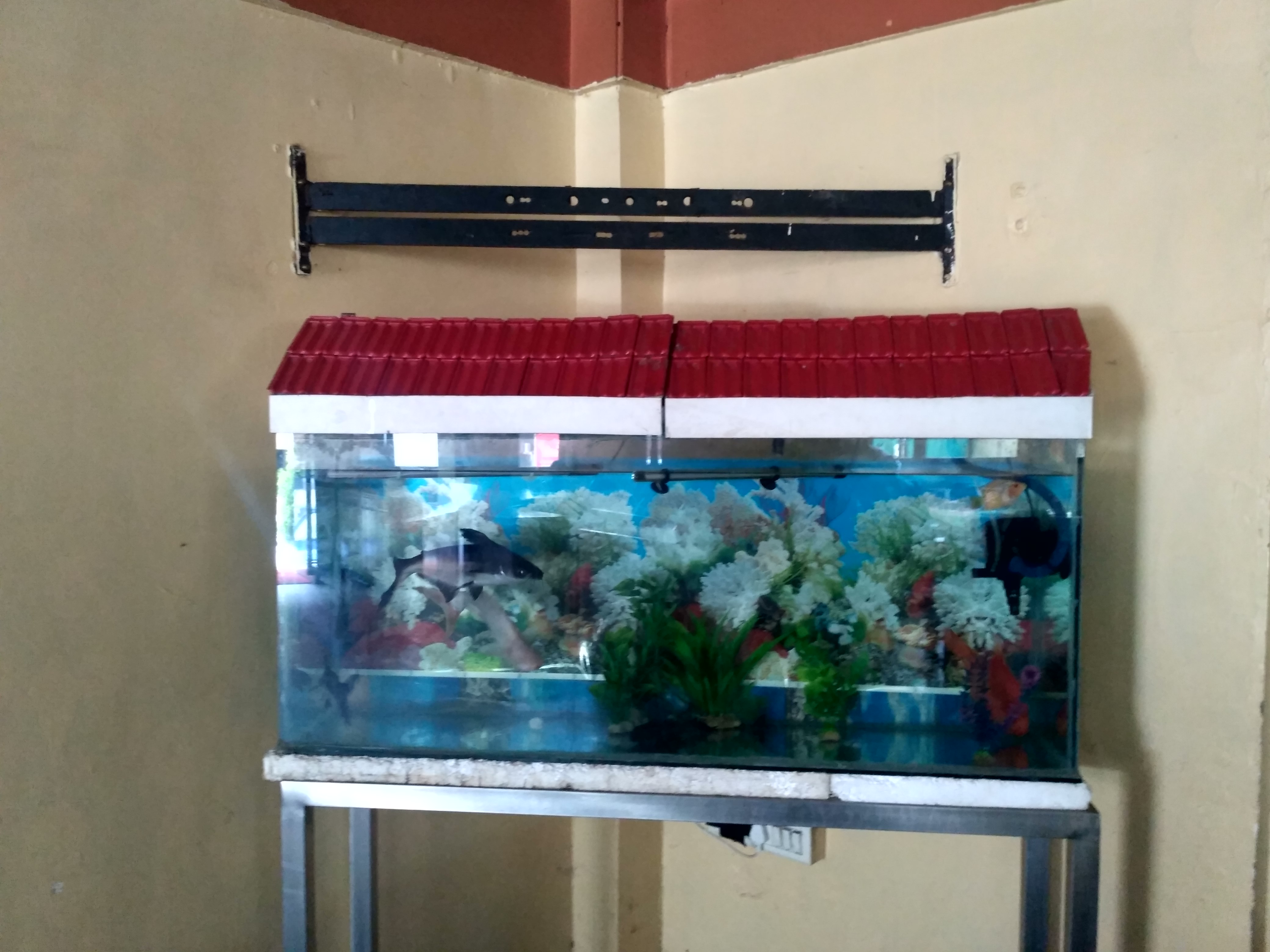 Galería