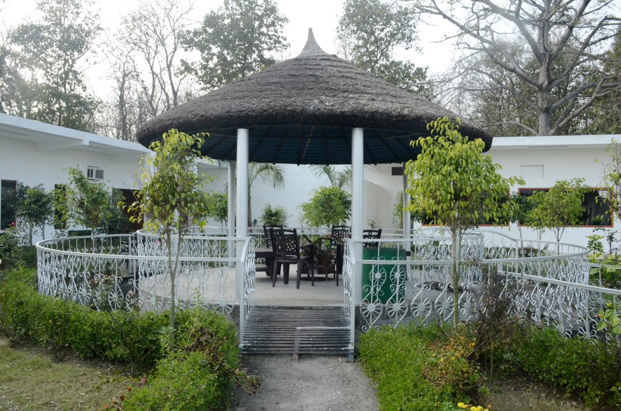DTR Jungle Hideaway