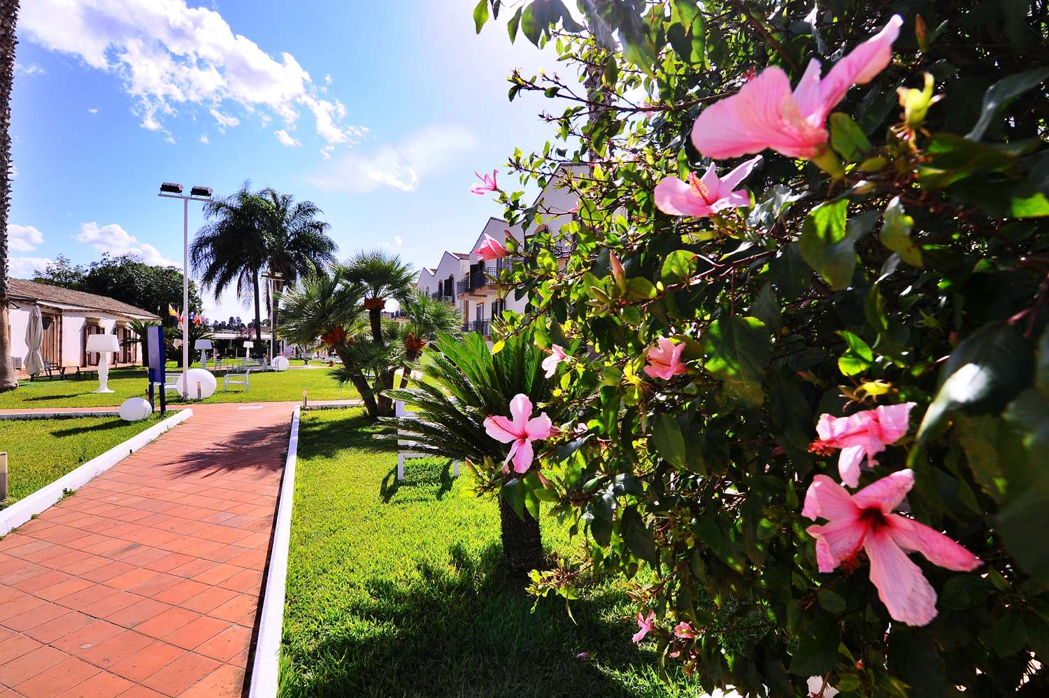 Galería
