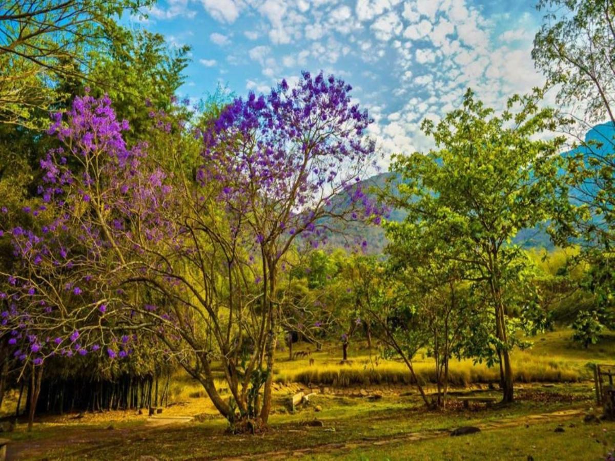Galería