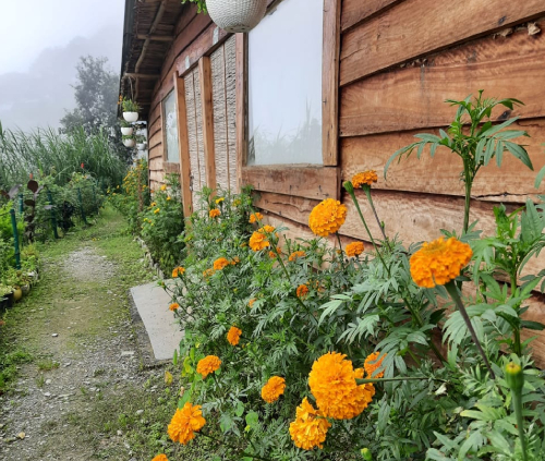 Galería