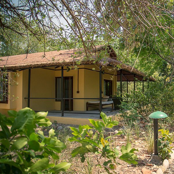 Jim's Jungle Retreat - Corbett