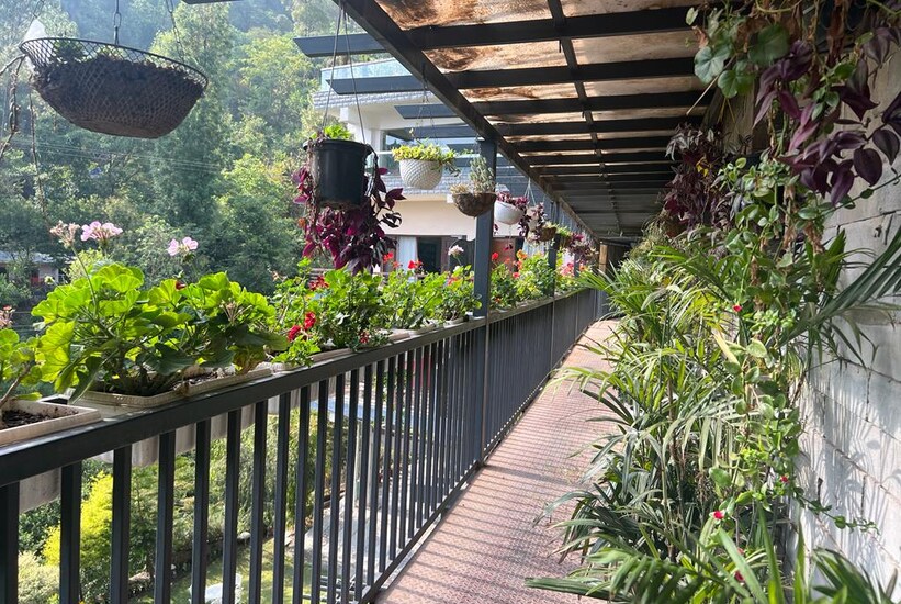 Dippys the boutique hotel