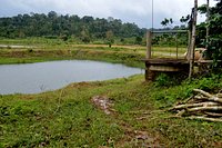 Coffee Bliss Homestay