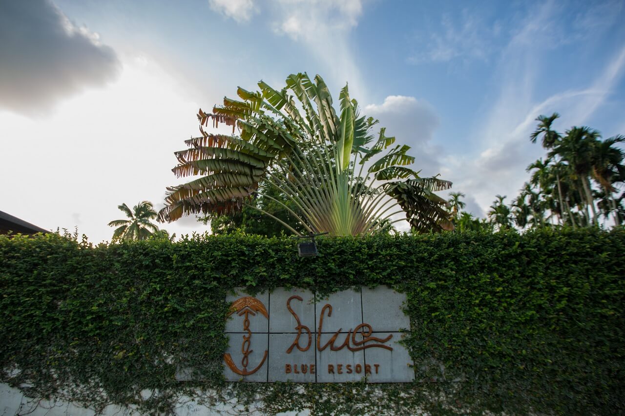 جاليرى