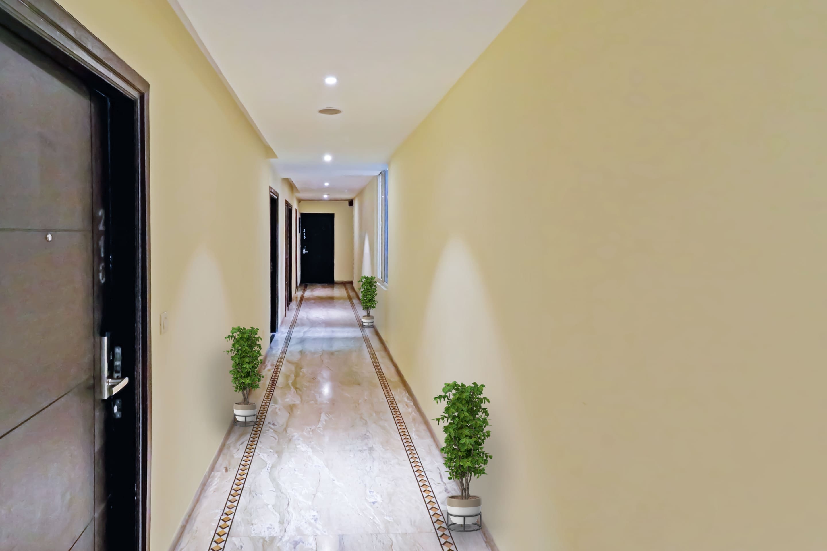 Galería