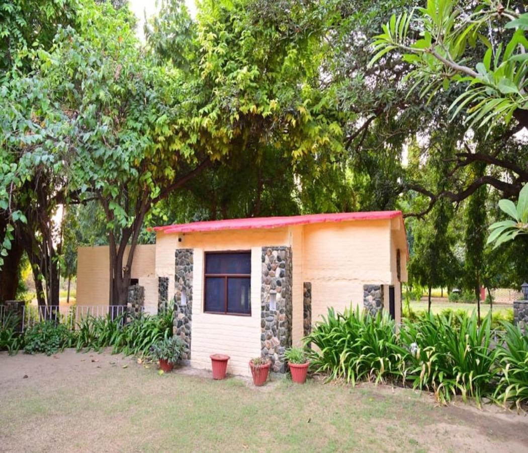 Galería